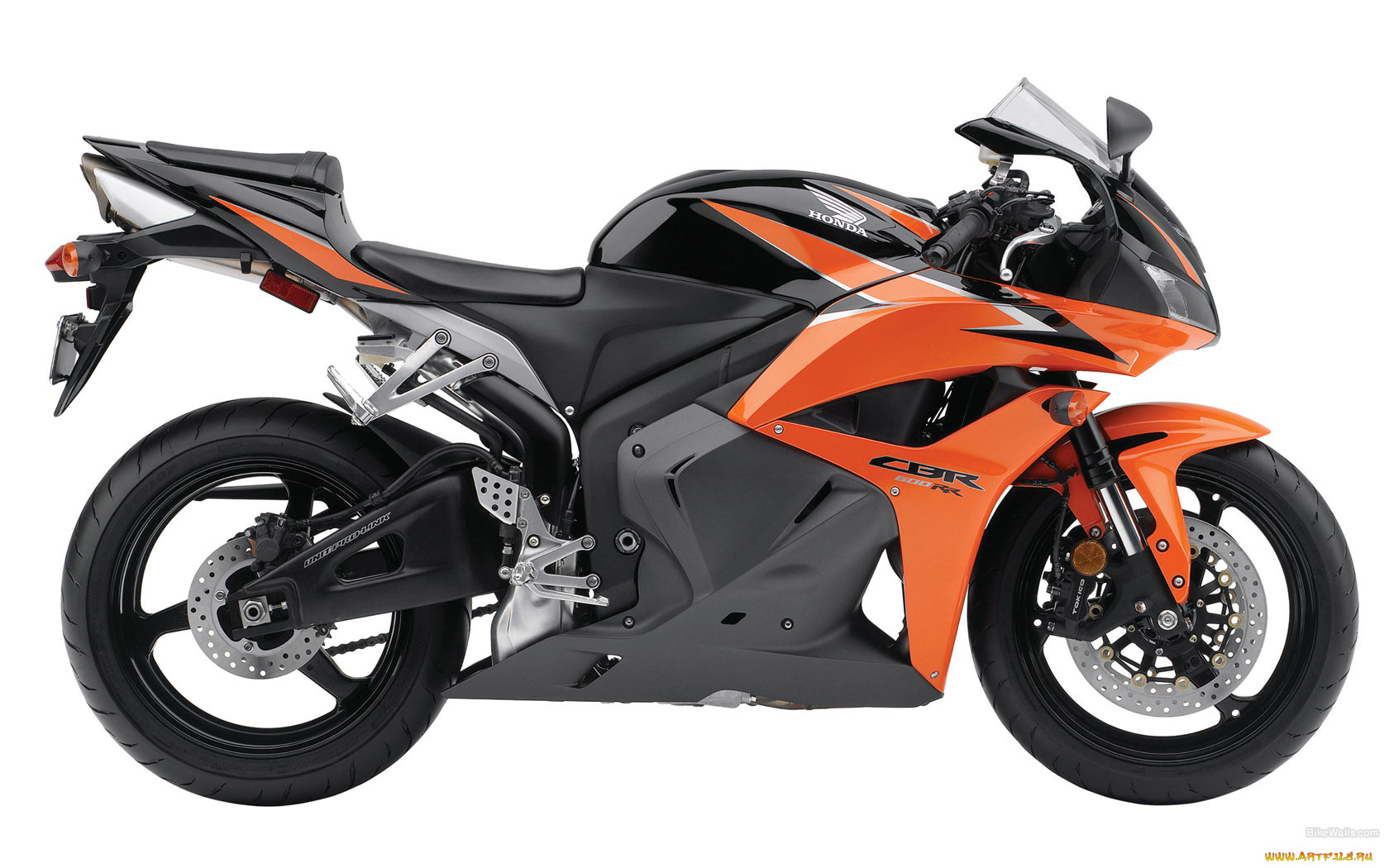 cbr, 600, rr, , honda